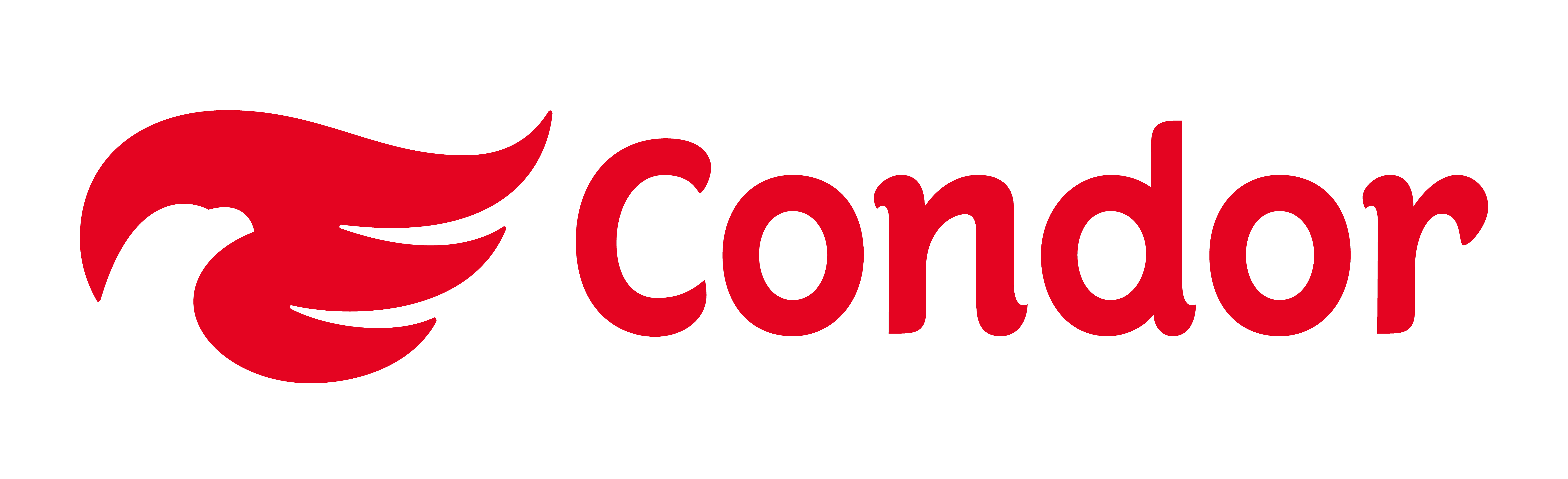 Condor Pincéis