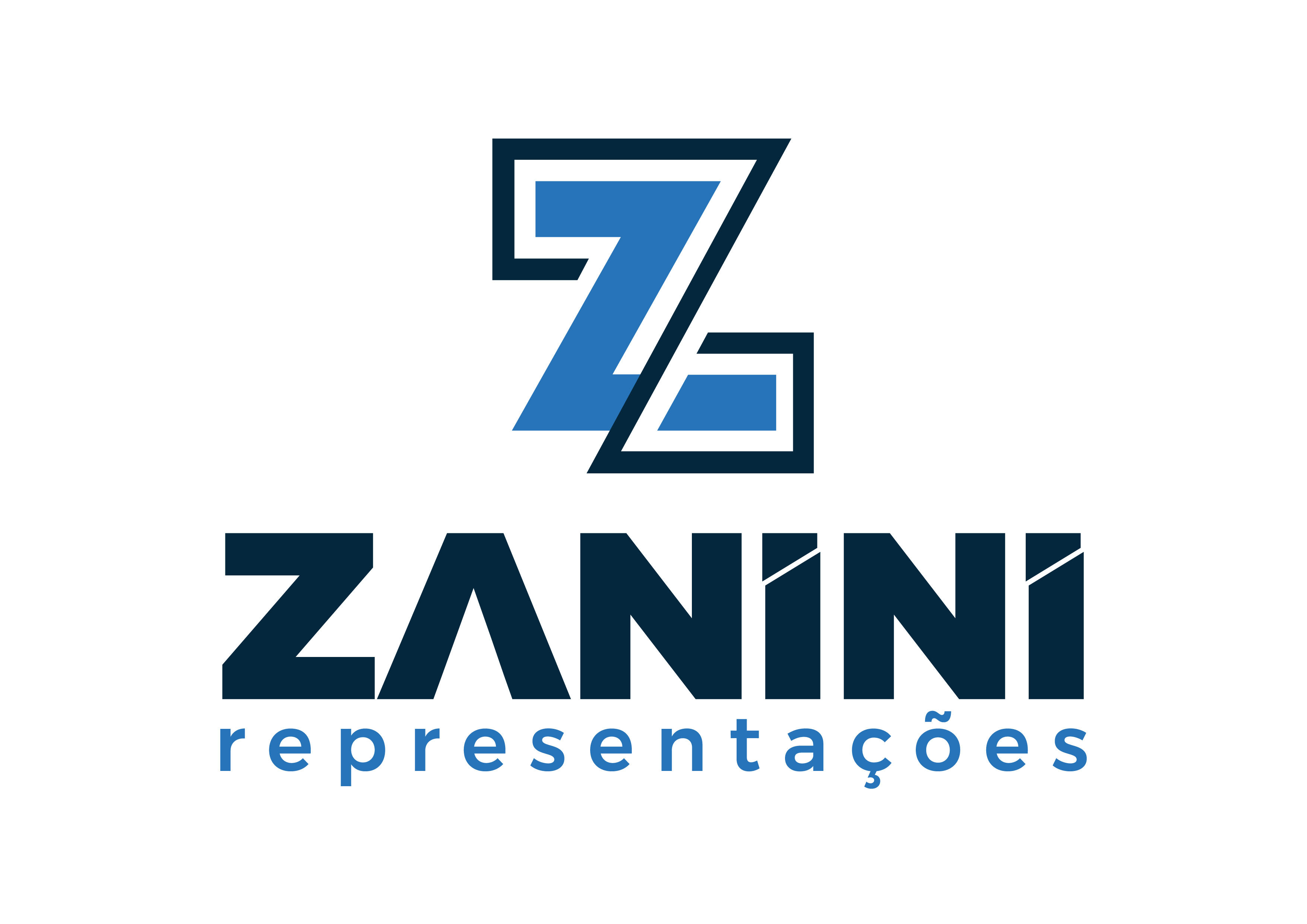 Zanini Representações
